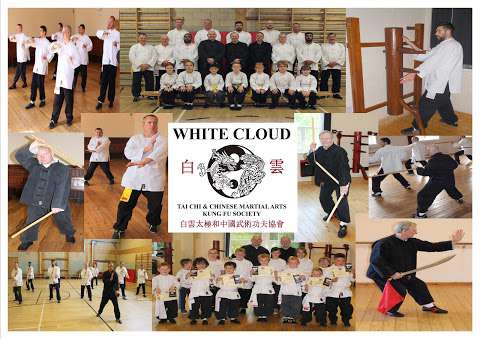 White Cloud Tai Chi & Chinese Martial Arts Kung Fu Society photo